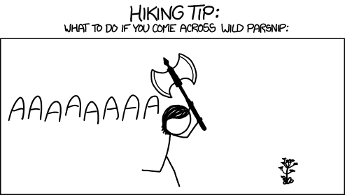 الشمس الأرض ماذا لو